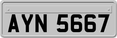 AYN5667