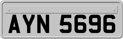 AYN5696