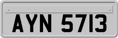 AYN5713