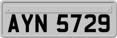 AYN5729