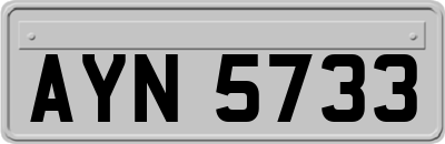AYN5733
