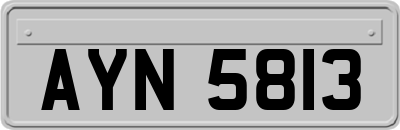 AYN5813