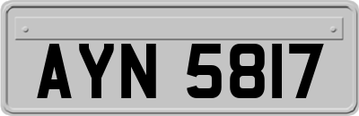 AYN5817