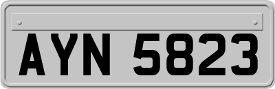 AYN5823