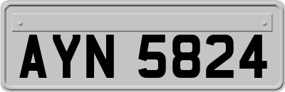 AYN5824