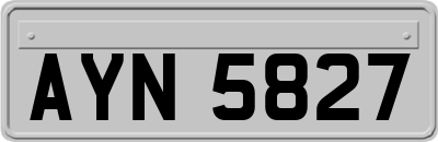 AYN5827