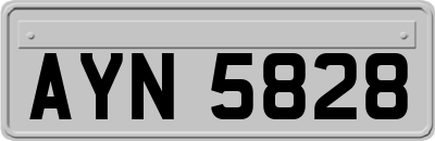 AYN5828