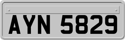 AYN5829