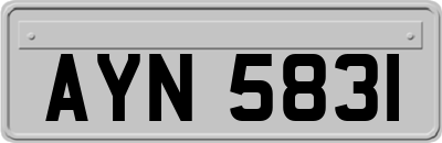 AYN5831