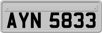 AYN5833