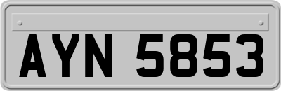 AYN5853