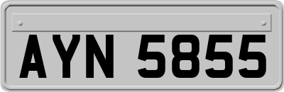 AYN5855