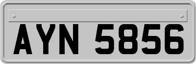 AYN5856