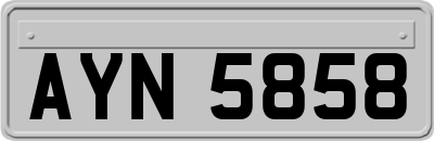 AYN5858