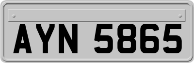 AYN5865