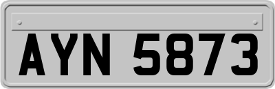 AYN5873
