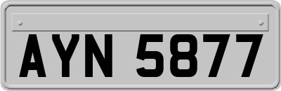 AYN5877