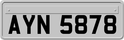 AYN5878