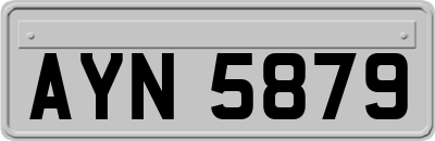 AYN5879