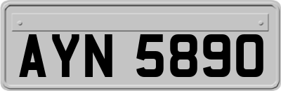AYN5890