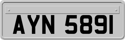 AYN5891