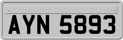 AYN5893