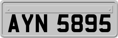 AYN5895