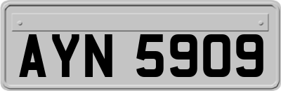 AYN5909