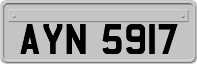 AYN5917
