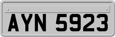 AYN5923