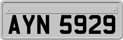 AYN5929