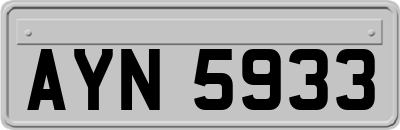 AYN5933