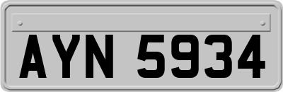 AYN5934