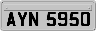 AYN5950