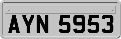 AYN5953
