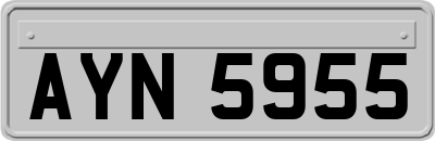 AYN5955