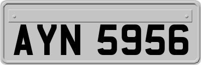 AYN5956
