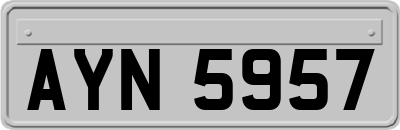 AYN5957