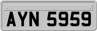 AYN5959