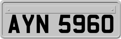 AYN5960