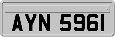 AYN5961
