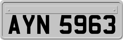 AYN5963