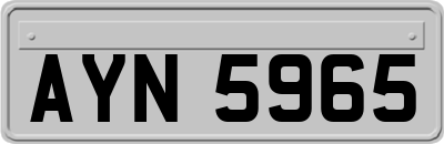 AYN5965