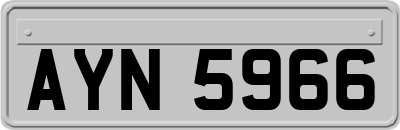 AYN5966