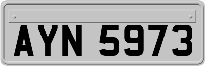 AYN5973