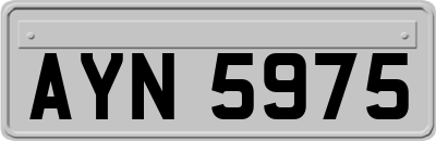 AYN5975