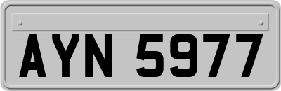 AYN5977