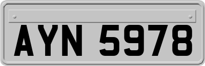 AYN5978