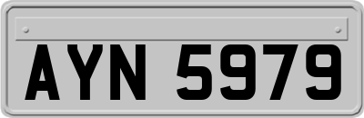 AYN5979