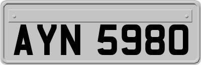AYN5980